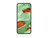 Pixel 9 - Image 4
