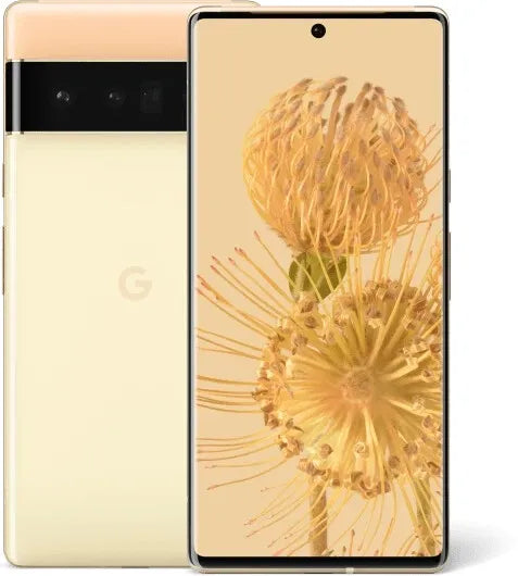 Pixel 6 Pro